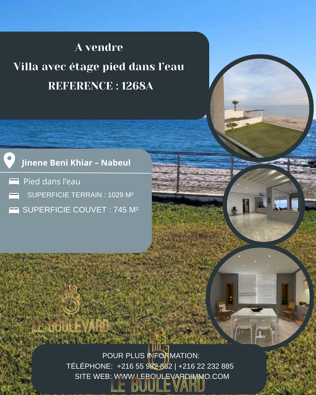 latest property