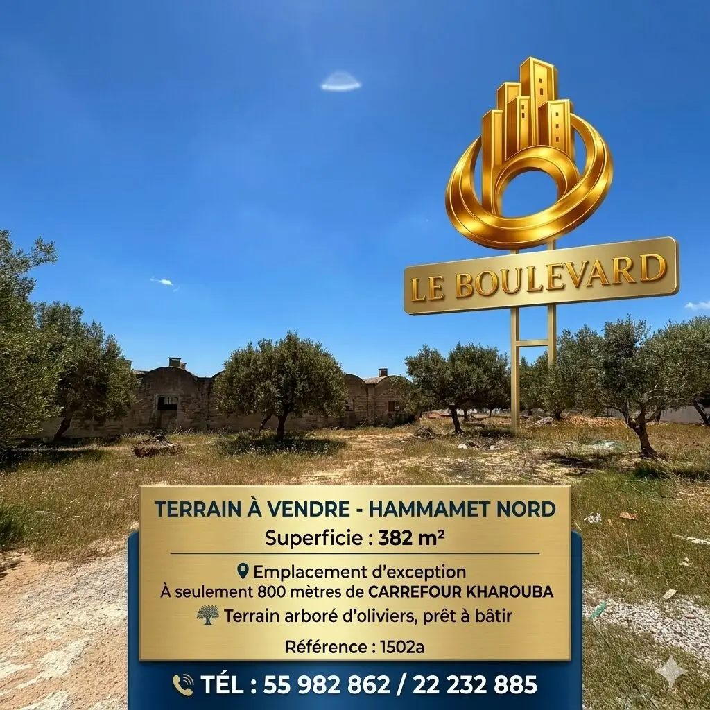 latest property