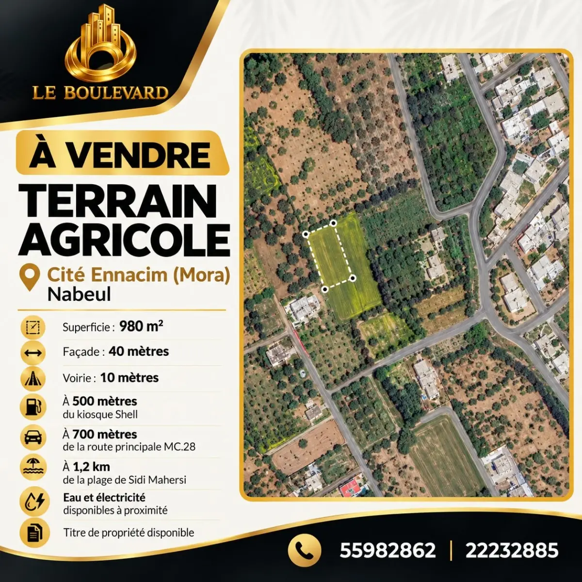 latest property